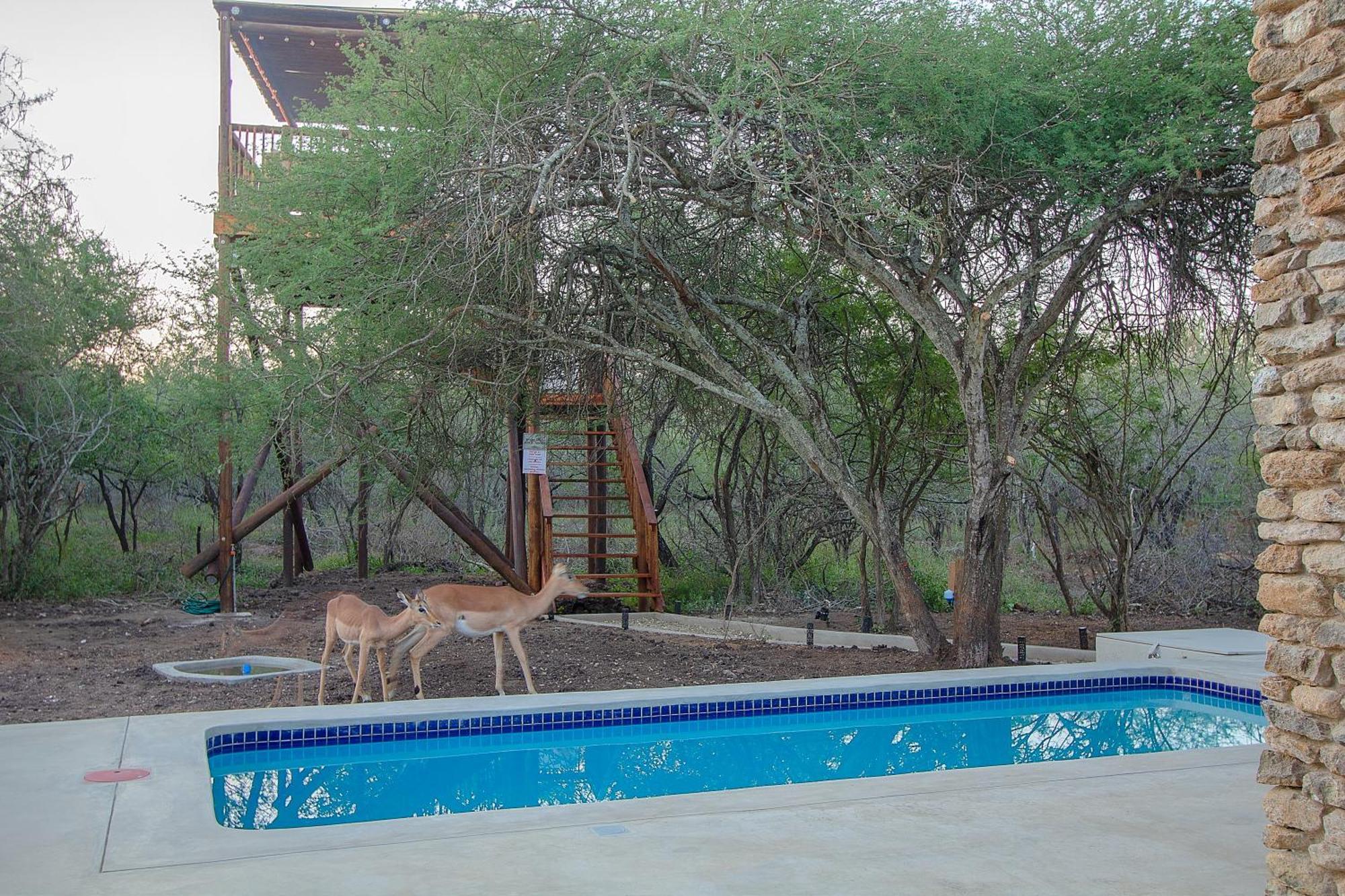 The Duchess Luxury Safari Villa, Close To Knp, Giraffe-feeding-tower, Bush-bath, Boma * Marloth Park